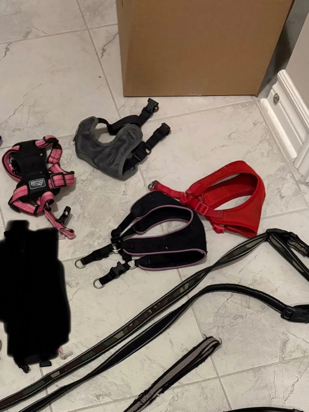 Dog stuff bundle - Picture 2 of 6